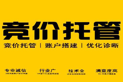 抖音信息流广告的成功案例：品牌如何借助其实现营销目标